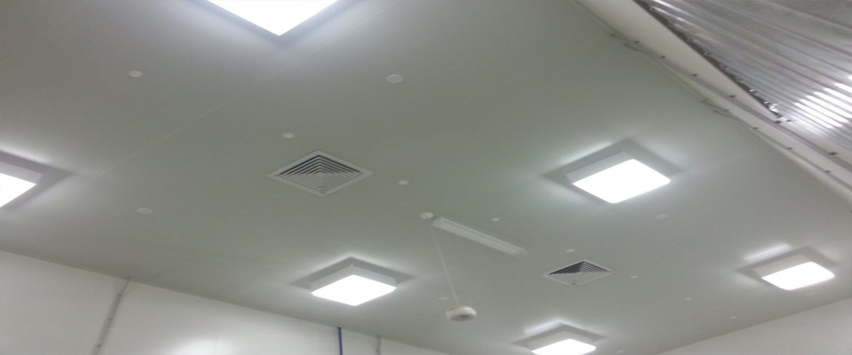 Surface Mounted Light